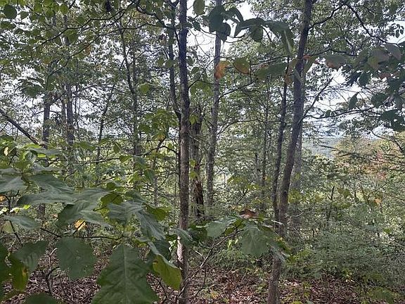 2nd image of 155 Mountain View Ln