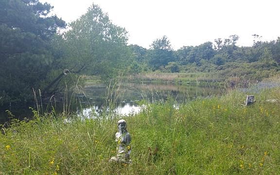 2nd image of 131 Vz County Road 1203