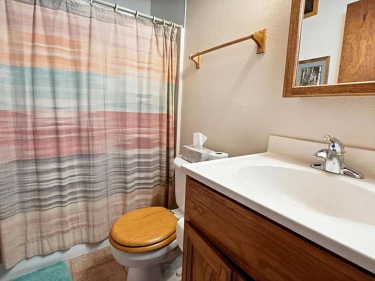 1341 Mineral Springs Trl — Photo 9