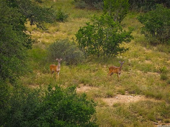 3rd image of 30 ACRES +/- Peaceful Valley Rd
