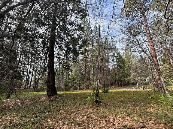 3rd image of 245 Heron Ct
