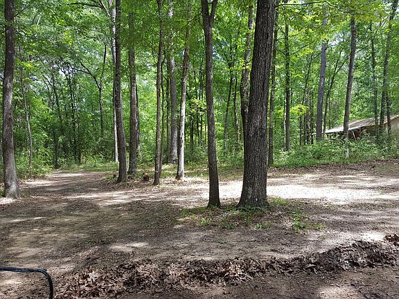 View from front porch