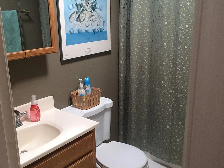 Bathroom 1