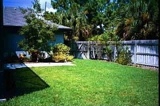 Back Yard 2