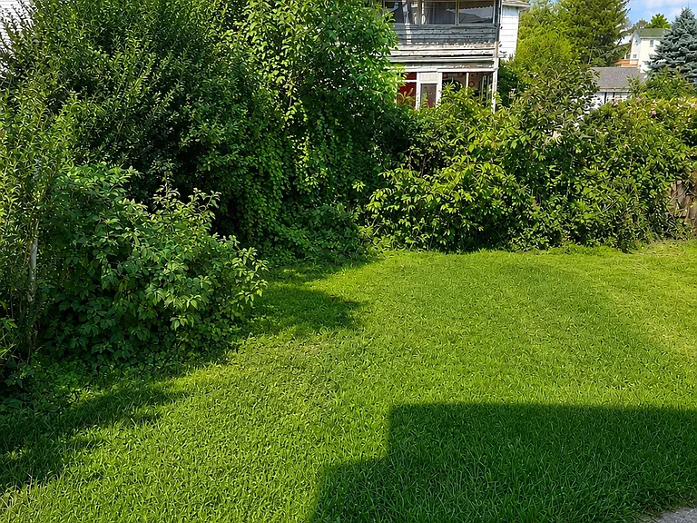 1107 N Main Ave #HOUSE — Photo 3