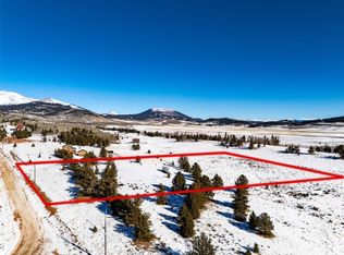 1436 Silverheels Rd, Fairplay, CO 80440