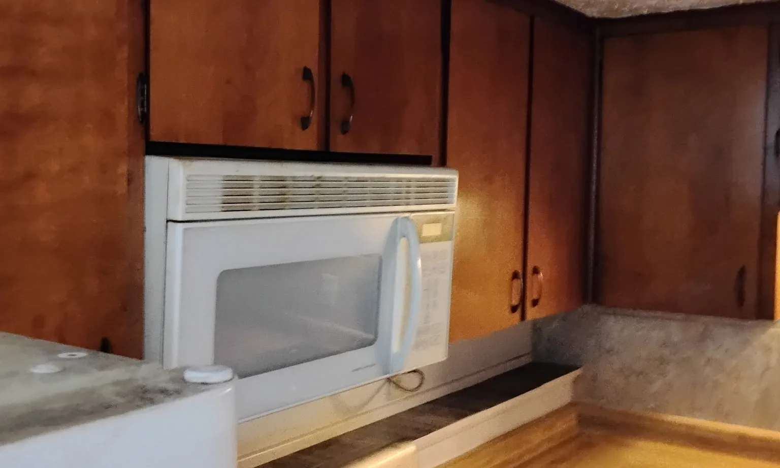 2 bed, $1,100 — Photo 1