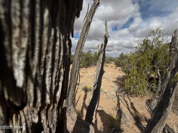 6625 North, Saint Johns, AZ 85936