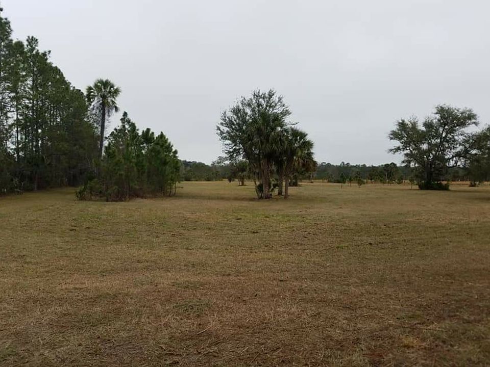 Main photo