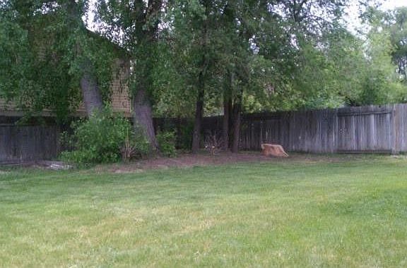5th image of 5571 Crown Cir