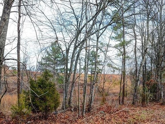 3rd image of 325 Henderson Rd Lot 19