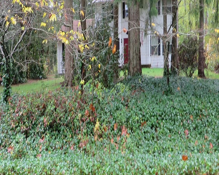 1st image of 32276 194th Ave SE