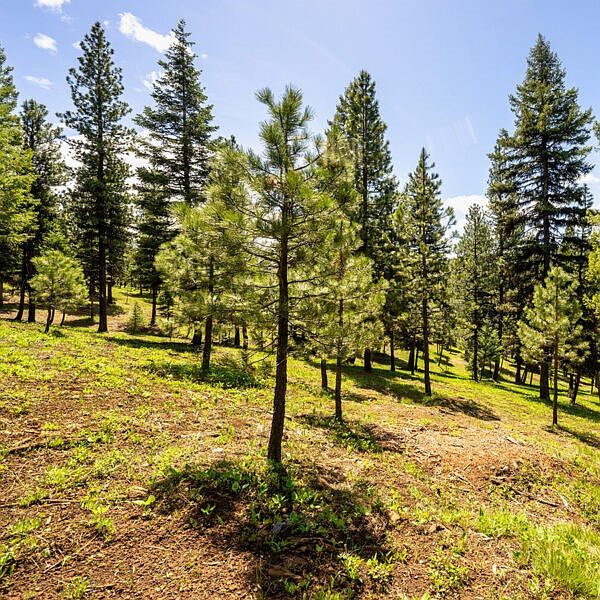 2nd image of 16 To Be Determined