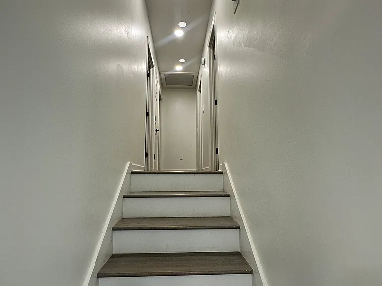 8330 Wild Fig Ln — Photo 11