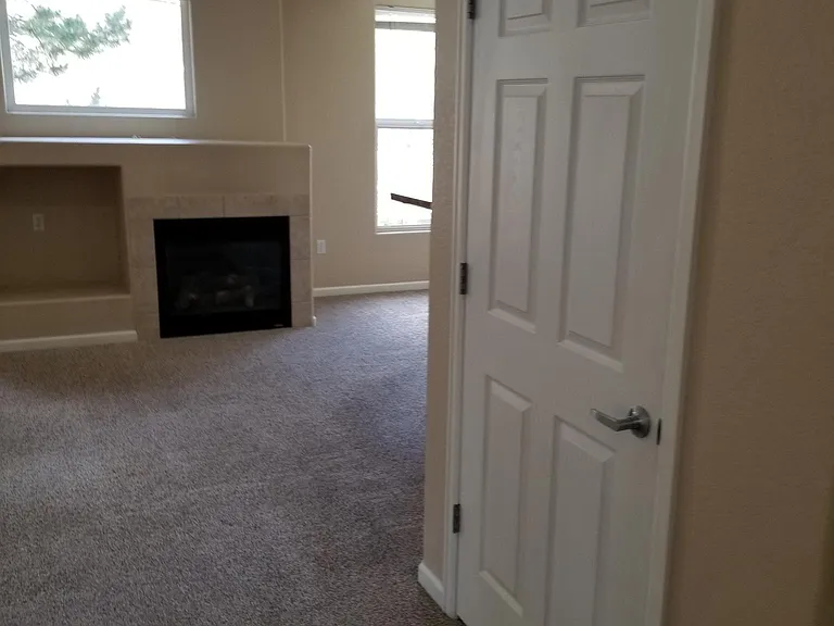 555 Cougar Bluff Point #101 — Photo 11