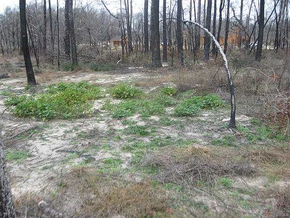 4th image of 1274 E State Highway 21