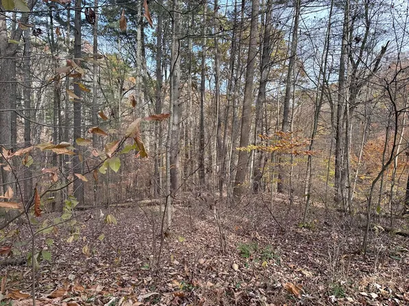 0 Morningside Dr, Glouster, OH 45732