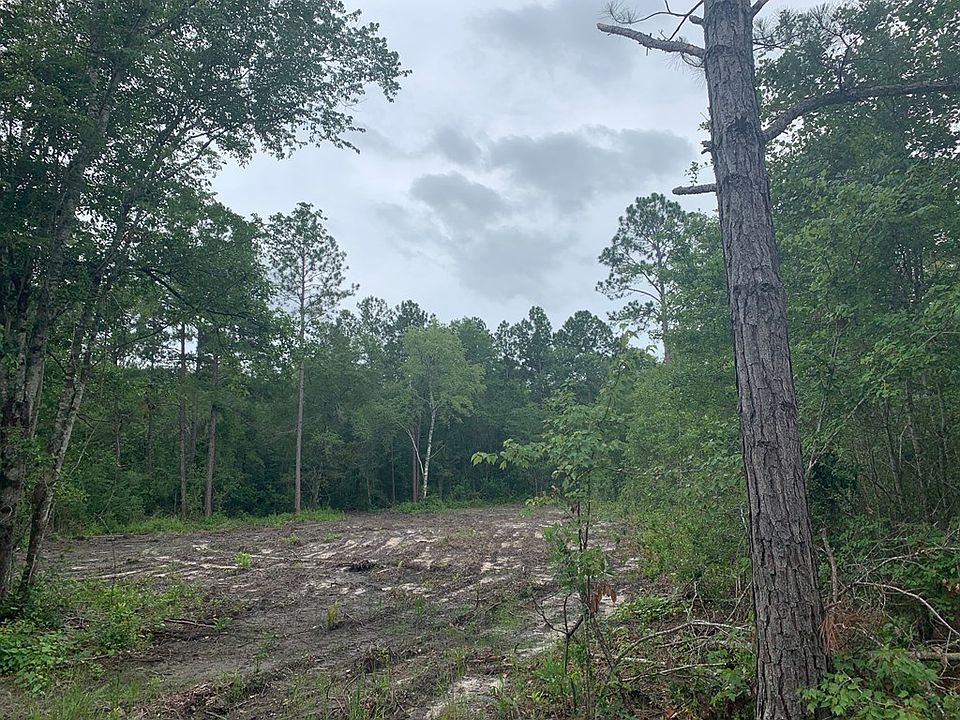 2nd image of 259 Dogwood Acres Rd