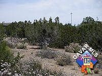 3rd image of 247 Saint