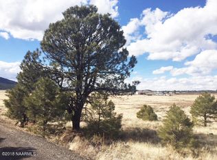 321 N Sherwood Forest Rd, Williams, AZ 86046