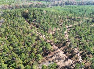 10 Lee Road 254, Salem, AL 36874