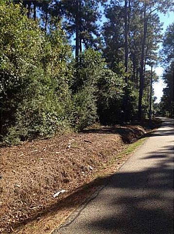 1st image of 747 Highway 1085