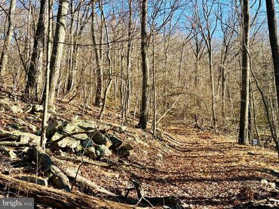 256 Lawyer Ln, Paw Paw, WV, 25434