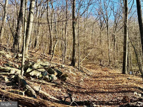 256 Lawyer Ln, Paw Paw, WV 25434