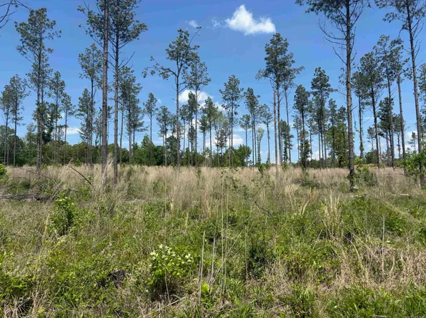 0 S Grant St #433, Sheridan, AR 72150