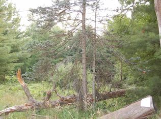 LOT 9 Dorothy Dr, Prescott, MI 48756