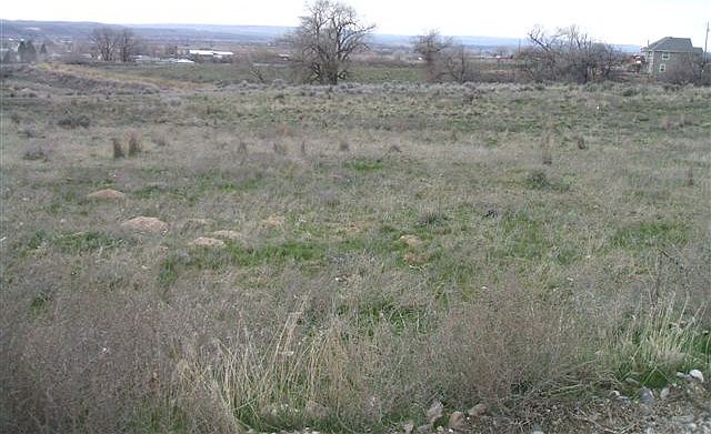 2nd image of Tbd Thousand Springs Rd
