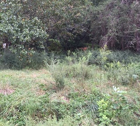 4th image of 0 Airbase Rd Lot 5