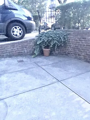 Rented by Voro, LLC | media 31