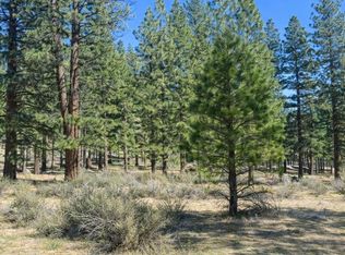 3568 Knob Point Trl #102, Carson City, NV 89705