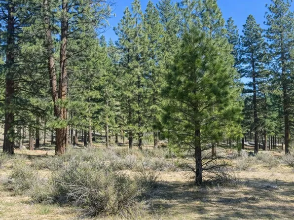 3568 Knob Point Trl #102, Carson City, NV 89705