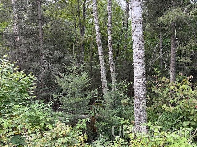 1st image of Loon Lake Rd