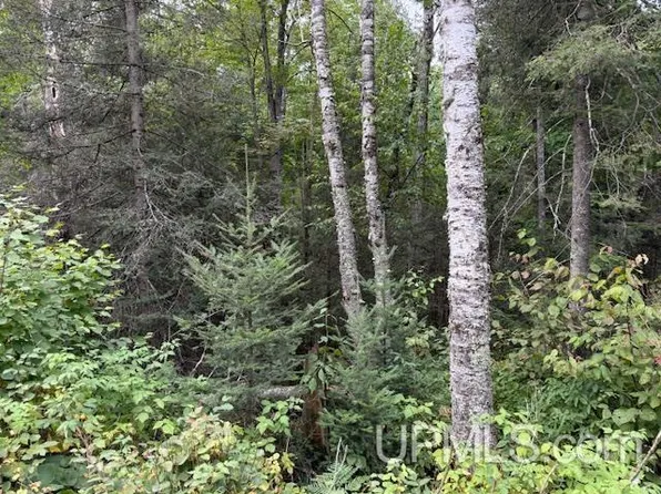 Loon Lake Rd, Florence, WI 54121