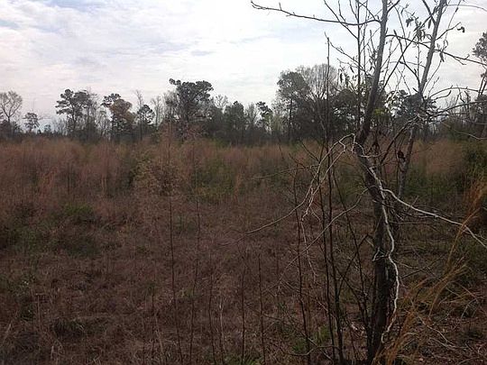 1st image of Mitch Rd