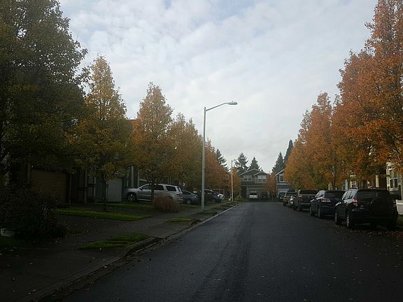 4th image of 5503 NE 43rd Way