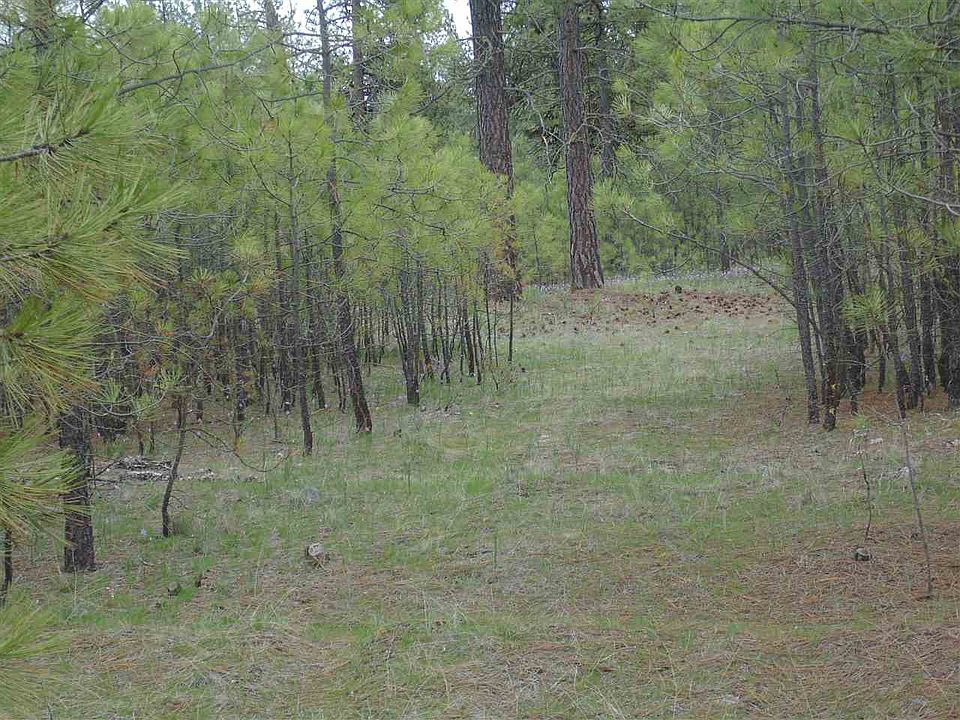 7752 Wellpinit St, Ford, WA 99013 Zillow