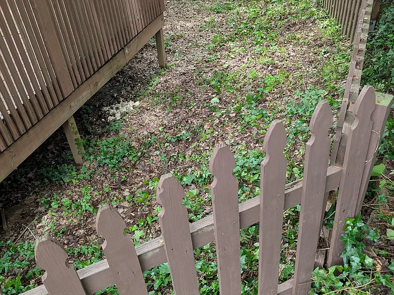 Approximately 20' x 45' fenced in area.