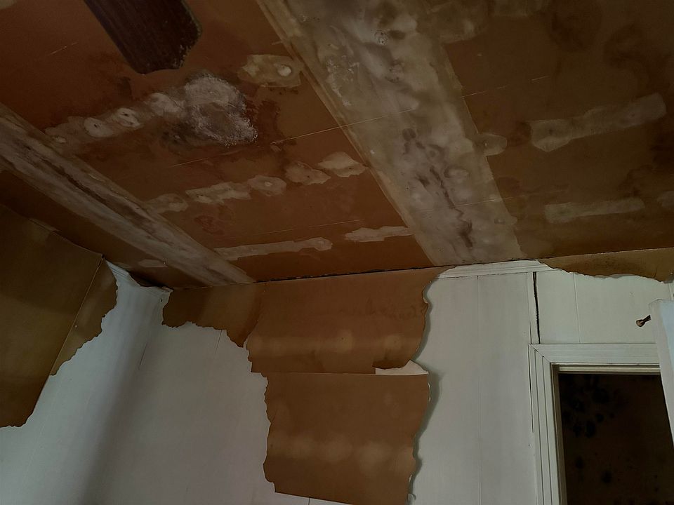 1st image of 1501 Carol Dr