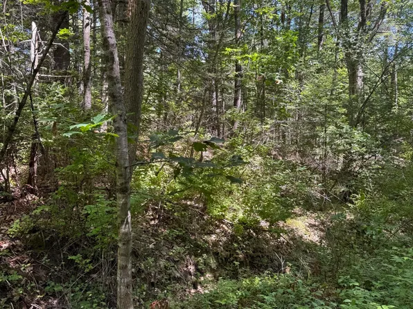 Lot 59 Carding Machine Road, Bowdoinham, ME 04008
