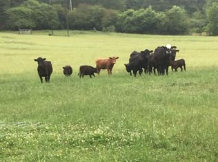 14730 Renfroe Rd, Alpine, AL 35014