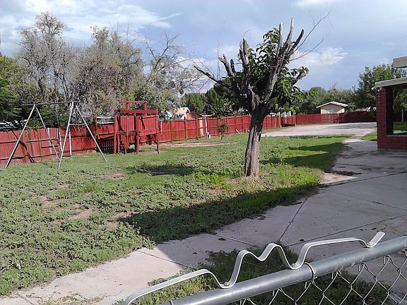 back yard - long view