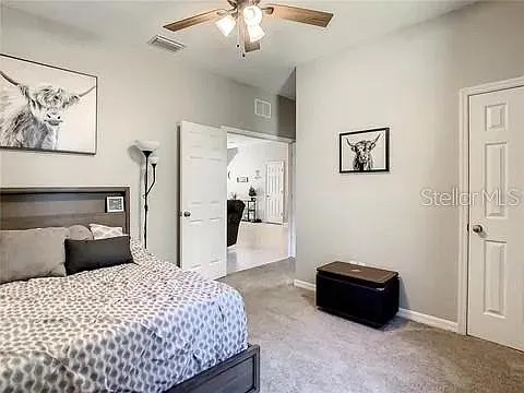 6402 Yellow Buckeye Dr — Photo 24