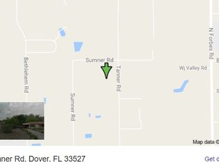 3826 Tanner Rd, Dover, FL 33527