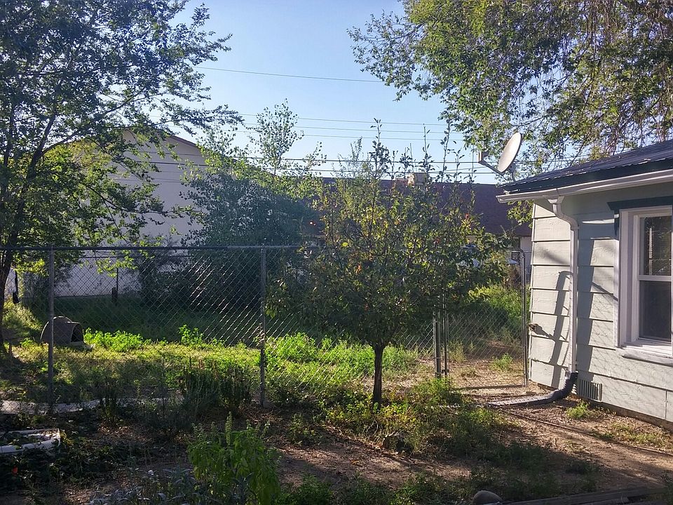 back area