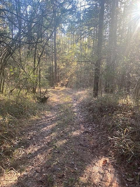 1st image of 111TBA County Road 1820