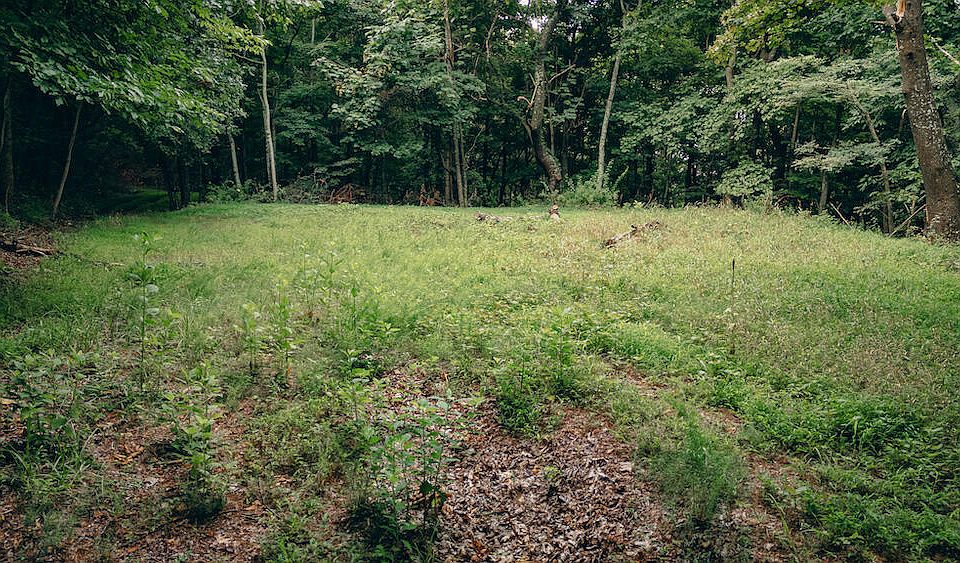 1st image of 0 Crowell Gap Rd